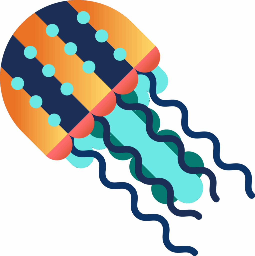 Jellyfish